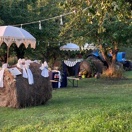 Kušneri Guest House Zirga Smaids מראה חיצוני תמונה