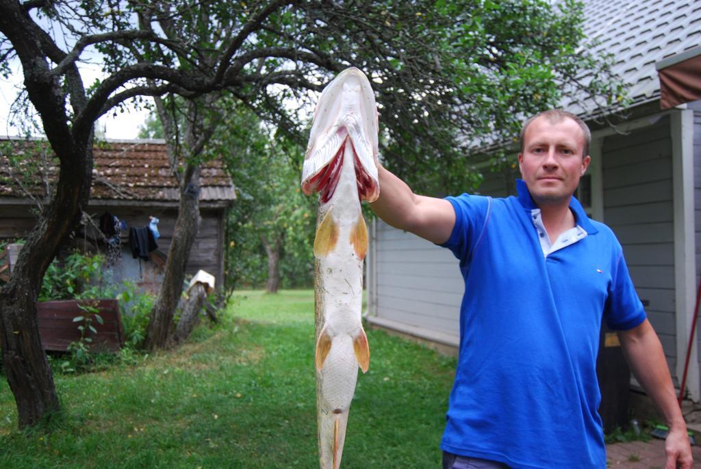 Kušneri Guest House Zirga Smaids מראה חיצוני תמונה